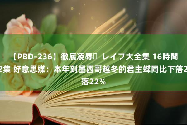 【PBD-236】徹底凌辱・レイプ大全集 16時間 第2集 好意思媒：本年到墨西哥越冬的君主蝶同比下落22%