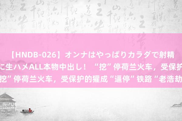 【HNDB-026】オンナはやっぱりカラダで射精する 厳選美巨乳ボディに生ハメALL本物中出し！ “挖”停荷兰火车，受保护的獾成“逼停”铁路“老浩劫”！