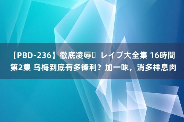 【PBD-236】徹底凌辱・レイプ大全集 16時間 第2集 乌梅到底有多锋利？加一味，消多样息肉