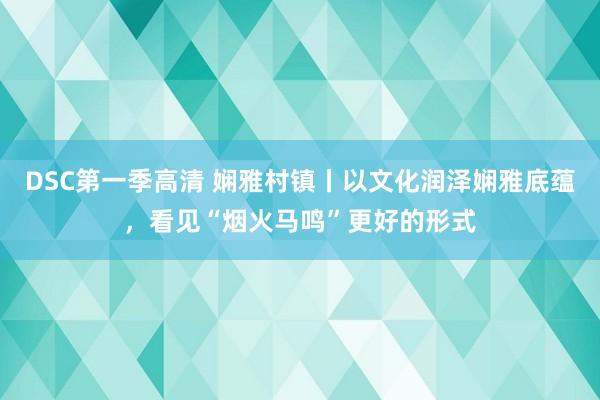 DSC第一季高清 娴雅村镇丨以文化润泽娴雅底蕴，看见“烟火马鸣”更好的形式