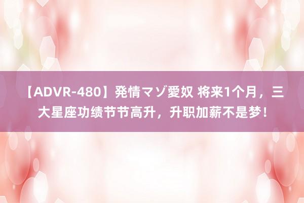 【ADVR-480】発情マゾ愛奴 将来1个月，三大星座功绩节节高升，升职加薪不是梦！