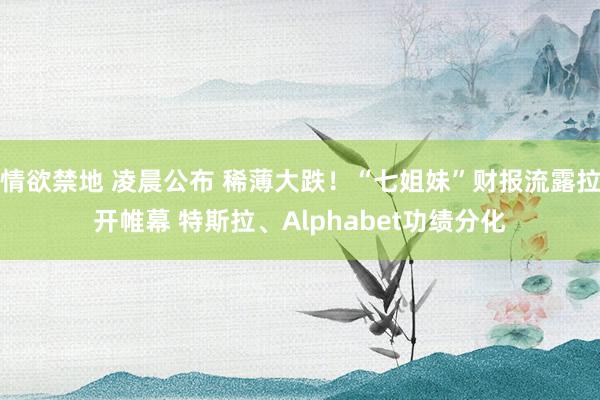 情欲禁地 凌晨公布 稀薄大跌！“七姐妹”财报流露拉开帷幕 特斯拉、Alphabet功绩分化