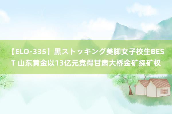 【ELO-335】黒ストッキング美脚女子校生BEST 山东黄金以13亿元竞得甘肃大桥金矿探矿权