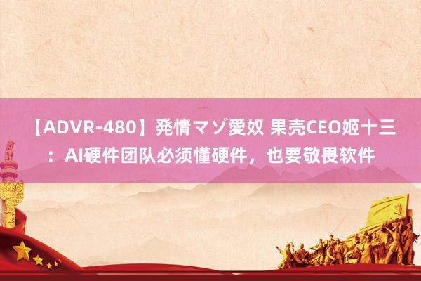 【ADVR-480】発情マゾ愛奴 果壳CEO姬十三：AI硬件团队必须懂硬件，也要敬畏软件