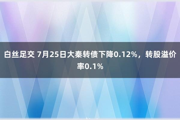 白丝足交 7月25日大秦转债下降0.12%，转股溢价率0.1%