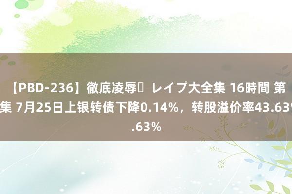 【PBD-236】徹底凌辱・レイプ大全集 16時間 第2集 7月25日上银转债下降0.14%，转股溢价率43.63%