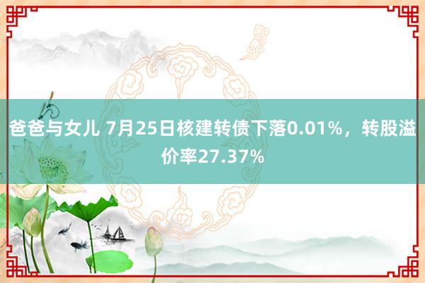 爸爸与女儿 7月25日核建转债下落0.01%，转股溢价率27.37%