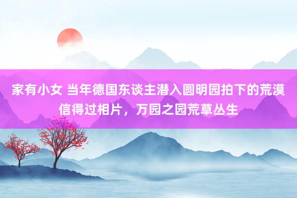 家有小女 当年德国东谈主潜入圆明园拍下的荒漠信得过相片，万园之园荒草丛生