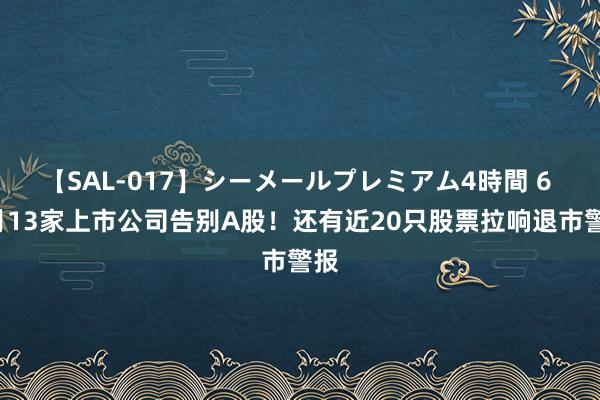 【SAL-017】シーメールプレミアム4時間 6 7月13家上市公司告别A股！还有近20只股票拉响退市警报