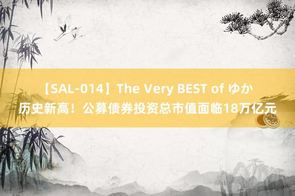 【SAL-014】The Very BEST of ゆか 历史新高！公募债券投资总市值面临18万亿元