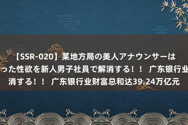 【SSR-020】某地方局の美人アナウンサーは忙し過ぎて溜まりまくった性欲を新人男子社員で解消する！！ 广东银行业财富总和达39.24万亿元