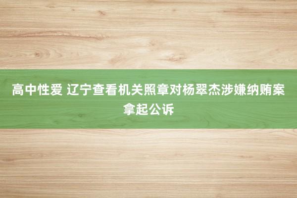 高中性爱 辽宁查看机关照章对杨翠杰涉嫌纳贿案拿起公诉