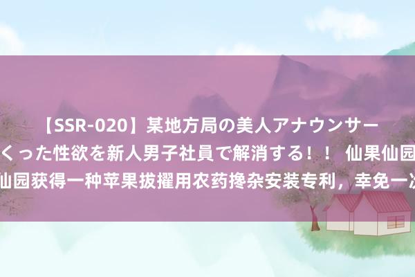 【SSR-020】某地方局の美人アナウンサーは忙し過ぎて溜まりまくった性欲を新人男子社員で解消する！！ 仙果仙园获得一种苹果拔擢用农药搀杂安装专利，幸免一次性倒入影响搀杂后果