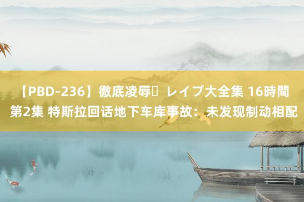 【PBD-236】徹底凌辱・レイプ大全集 16時間 第2集 特斯拉回话地下车库事故：未发现制动相配