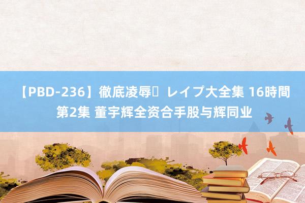 【PBD-236】徹底凌辱・レイプ大全集 16時間 第2集 董宇辉全资合手股与辉同业