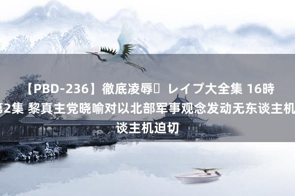 【PBD-236】徹底凌辱・レイプ大全集 16時間 第2集 黎真主党晓喻对以北部军事观念发动无东谈主机迫切