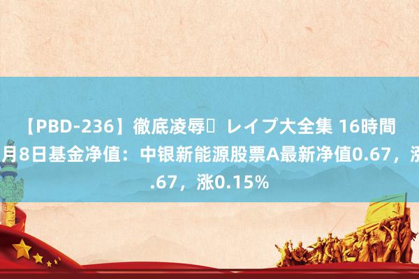 【PBD-236】徹底凌辱・レイプ大全集 16時間 第2集 8月8日基金净值：中银新能源股票A最新净值0.67，涨0.15%