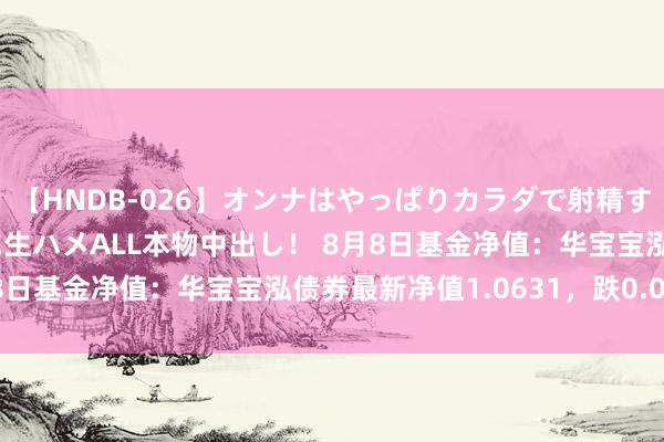 【HNDB-026】オンナはやっぱりカラダで射精する 厳選美巨乳ボディに生ハメALL本物中出し！ 8月8日基金净值：华宝宝泓债券最新净值1.0631，跌0.01%