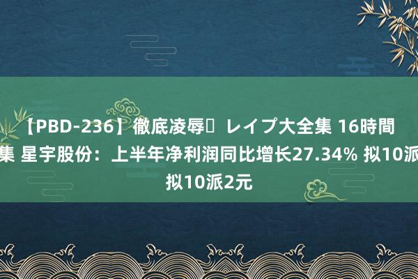 【PBD-236】徹底凌辱・レイプ大全集 16時間 第2集 星宇股份：上半年净利润同比增长27.34% 拟10派2元