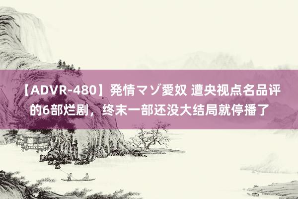 【ADVR-480】発情マゾ愛奴 遭央视点名品评的6部烂剧，终末一部还没大结局就停播了