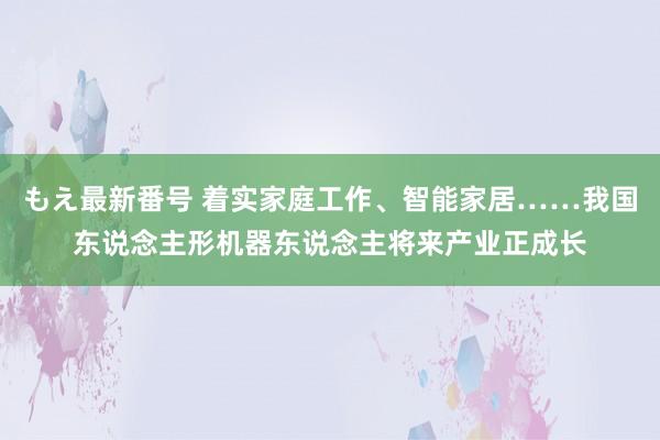 もえ最新番号 着实家庭工作、智能家居……我国东说念主形机器东说念主将来产业正成长