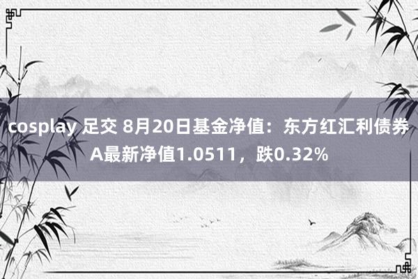 cosplay 足交 8月20日基金净值：东方红汇利债券A最新净值1.0511，跌0.32%