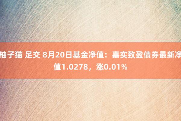 柚子猫 足交 8月20日基金净值：嘉实致盈债券最新净值1.0278，涨0.01%