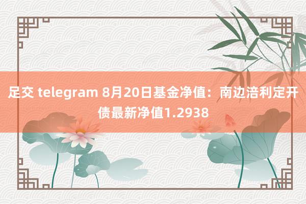 足交 telegram 8月20日基金净值：南边涪利定开债最新净值1.2938