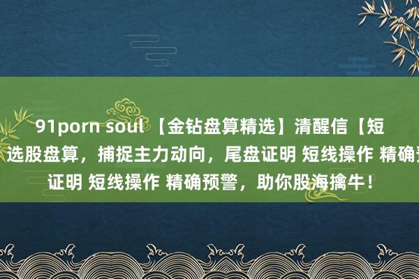 91porn soul 【金钻盘算精选】清醒信【短线宝】高效主图 副图 选股盘算，捕捉主力动向，尾盘证明 短线操作 精确预警，助你股海擒牛！