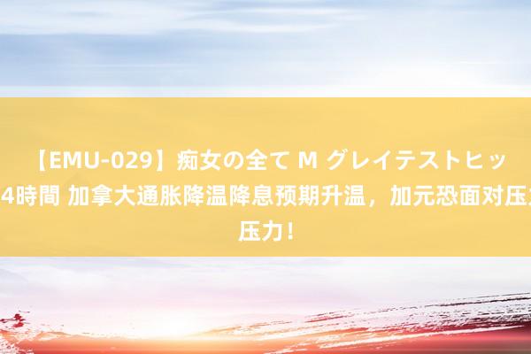 【EMU-029】痴女の全て M グレイテストヒッツ 4時間 加拿大通胀降温降息预期升温，加元恐面对压力！