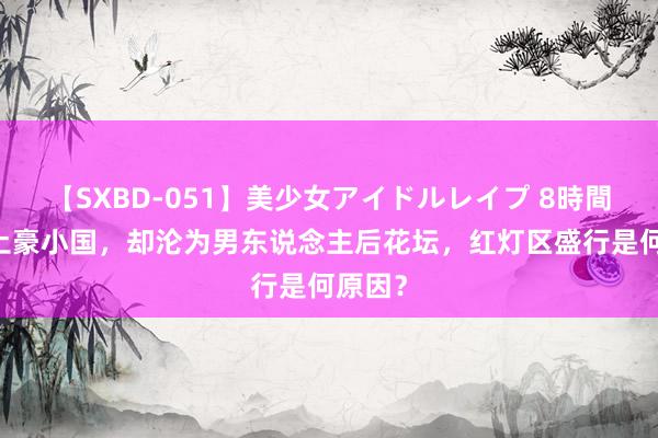 【SXBD-051】美少女アイドルレイプ 8時間 中东土豪小国，却沦为男东说念主后花坛，红灯区盛行是何原因？