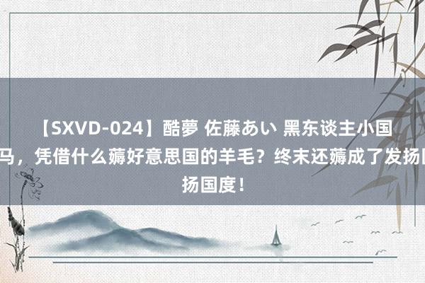 【SXVD-024】酷夢 佐藤あい 黑东谈主小国巴哈马，凭借什么薅好意思国的羊毛？终末还薅成了发扬国度！