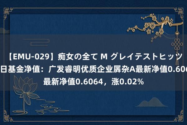 【EMU-029】痴女の全て M グレイテストヒッツ 4時間 8月26日基金净值：广发睿明优质企业羼杂A最新净值0.6064，涨0.02%