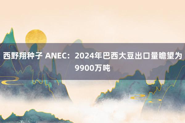 西野翔种子 ANEC：2024年巴西大豆出口量瞻望为9900万吨