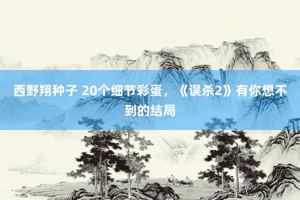 西野翔种子 20个细节彩蛋，《误杀2》有你想不到的结局