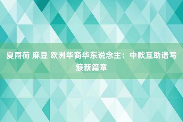 夏雨荷 麻豆 欧洲华裔华东说念主：中欧互助谱写簇新篇章