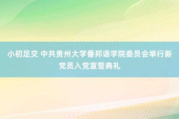 小初足交 中共贵州大学番邦语学院委员会举行新党员入党宣誓典礼