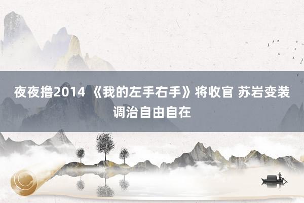 夜夜撸2014 《我的左手右手》将收官 苏岩变装调治自由自在